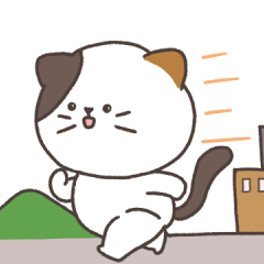 Cute cat GomNyang (English ver.)
