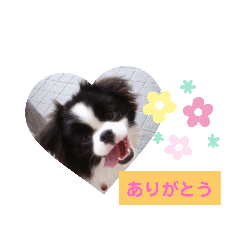 hana.kiki