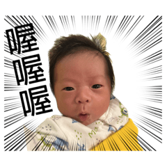 我們的確是這樣的人生