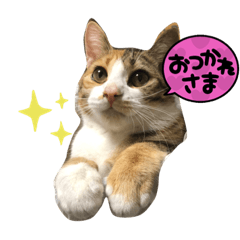 michiko_20230131230504