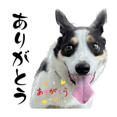 Naoki7070_20230130230823