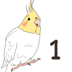 Cockatiel Sticker(white)1