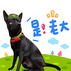 妞妞來了！！
