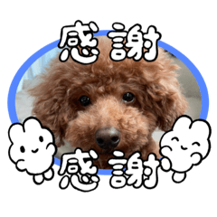 MITSUKI_20230201155247