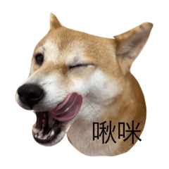 偷咪❤️
