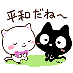 Very cute black and white cats9