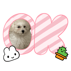 mimichanko
