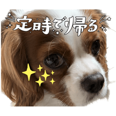 I want to say a word