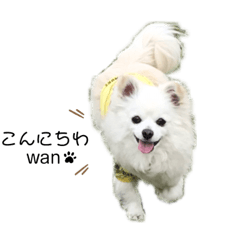 KING&nbsp; &nbsp;Hokuto