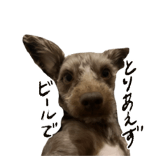 ソルの使えないスタンプ