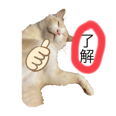 kana_20230202000602
