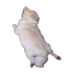 kuu_20230202104551