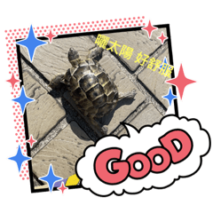 阿龜的耍廢日常