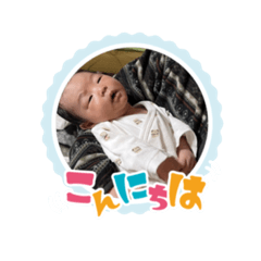 shiho_20230202120844