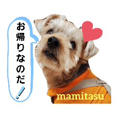 mamitasu_20230202135510