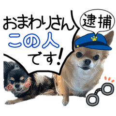 shiho_20230201153450