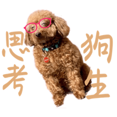 ㄉㄨㄞ ㄉㄨㄞ的日常