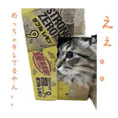 nao_20230202151702