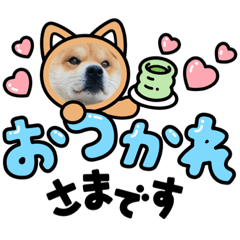 kuu_20230202164413