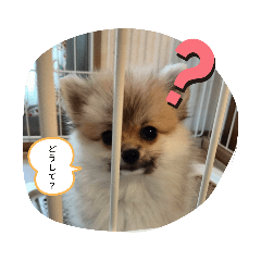 hana_20230202171121
