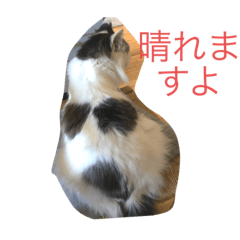 momoko_20230202185112