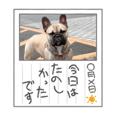 shiho_20230202193353