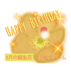 WhitePearl【Happy  Birthday誕生花】