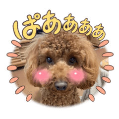 Aoi_20230202184506