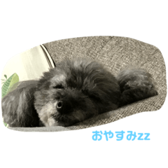 Emily_20230202211940