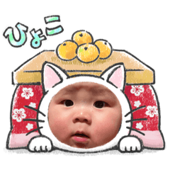 misa_20230203111802