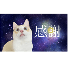 nao_20230202213752