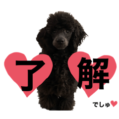yuka_20230203135549