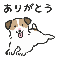 Daily Jack Russell Terrier Sticker 1