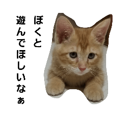 sayuri_20230202205106