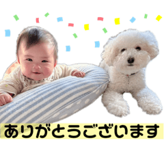 mik_20230203154928