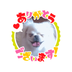 kana_20230201124253