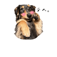 mik_20230203173112