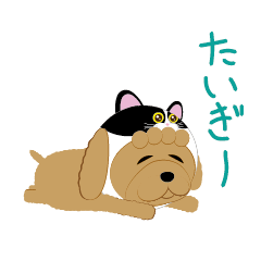 Cat&Dog in HIROSHIMA JAPAN