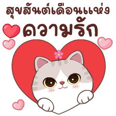 Ang Pao Cat : Valentine's Day V. Thai