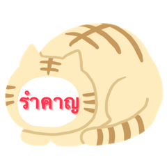 Ratchaphon_20230203132238