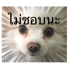 English_20230203155051