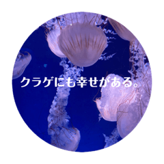 Book_20230203182903
