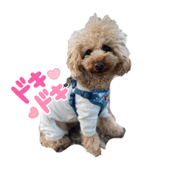 mikitysmile_20230202084839