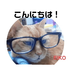 【EIKO】のネコ写真のスタンプ