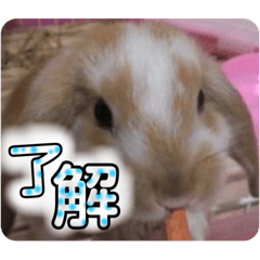 yuka_20230203205949