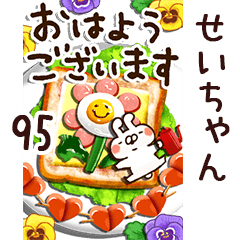 The seichan95