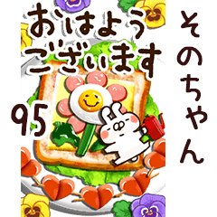 The sonochan95
