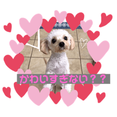 yuka_20230203221020
