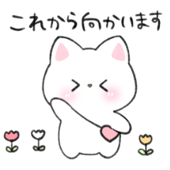 Sticker of the cute white cat