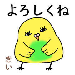 kii the world of birds